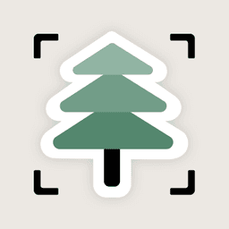 青松扫描 App 图标